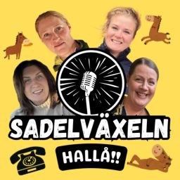 Artwork for Sadelväxeln, Hallå!