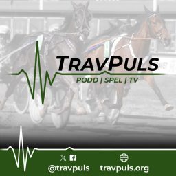 Artwork for TravPuls