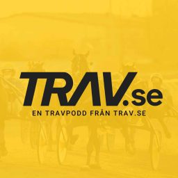 Artwork for Trav.se