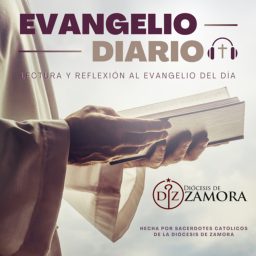 Artwork for Evangelio Diario
