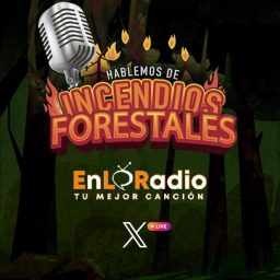 Artwork for Hablemos de Incendios Forestales