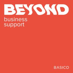 Artwork for Beyond Business Support