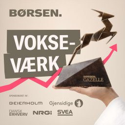 Artwork for Vokseværk