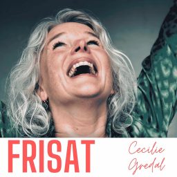 Artwork for FRISAT