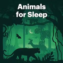 Artwork for Animals for Sleep