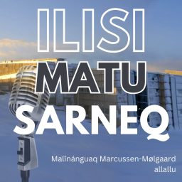 Artwork for Ilisimatusarneq, KNR