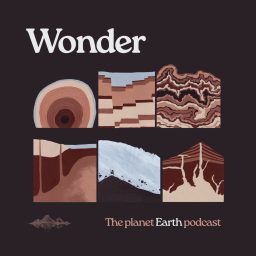 Artwork for Wonder