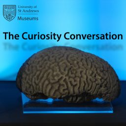 Artwork for The Curiosity Conversation