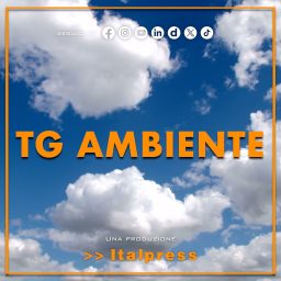 Artwork for Tg Ambiente