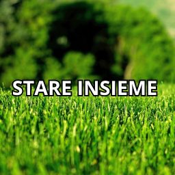 Artwork for Stare Insieme