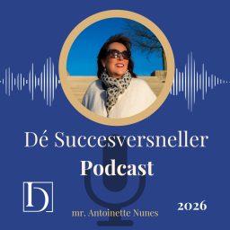 Artwork for De Succesversneller podcast
