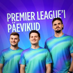 Artwork for Premier League'i päevikud