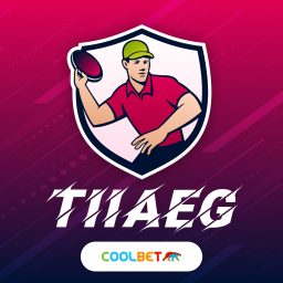Artwork for Tiiaeg