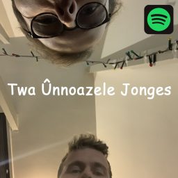 Artwork for Twa Ûnnoazele Jonges
