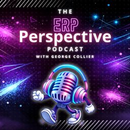 Artwork for The ERP Perspective