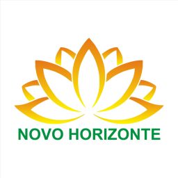 Artwork for Novo Horizonte - Preleções