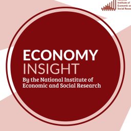 Artwork for Economy Insight