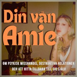Artwork for Din vän Amie