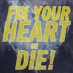 Artwork for Fix Your Heart Or Die!