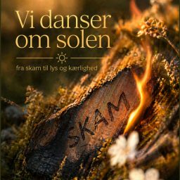 Artwork for VI DANSER OM SOLEN