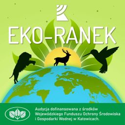 Artwork for Eko-Ranek | Radio Katowice