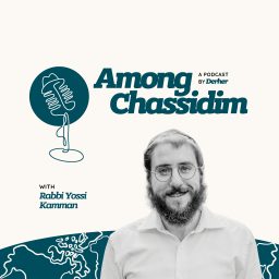 Artwork for Among Chassidim
