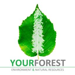 Artwork for YourForest