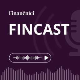 Artwork for FinCast
