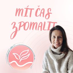 Artwork for Mít čas zpomalit