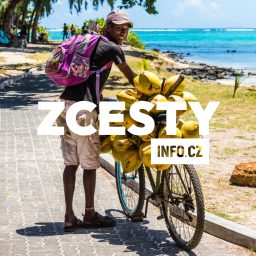 Artwork for ZCESTY