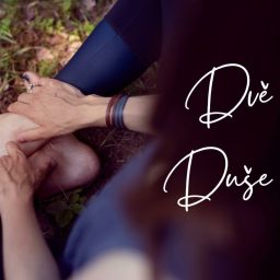 Artwork for DVĚ DUŠE