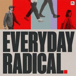Artwork for Everyday Radical