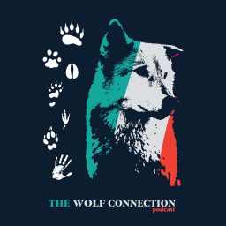 Artwork for The Wolf Connection