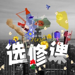 Artwork for 选修课 Universus