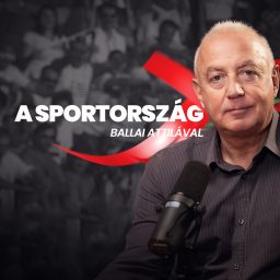 Artwork for A Sportország