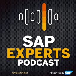 Artwork for SAP Experts