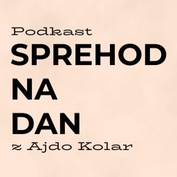 Artwork for Sprehod na dan