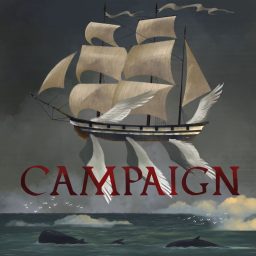 Artwork for Campaign: Skyjacks