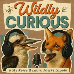 Artwork for Wildly Curious