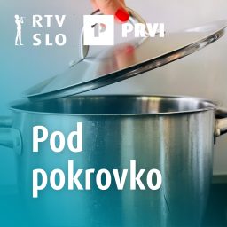 Artwork for Pod pokrovko