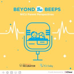 Artwork for The Incubator: Beyond The Beeps