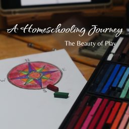 Artwork for A Homeschooling Journey