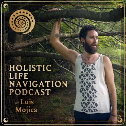 Artwork for Holistic Life Navigation