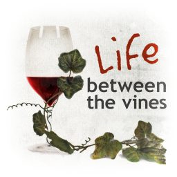Artwork for Life Between the Vines