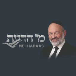 Artwork for Rav Leuchter Last Vaadim  הרב לויכטר שיעורים אחרונים