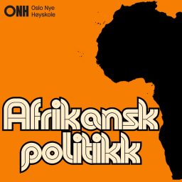 Artwork for Afrikansk politikk