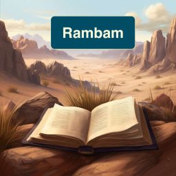 Artwork for 4 Min Rambam