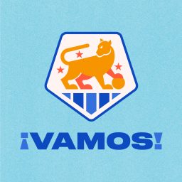 Artwork for VAMOS Network