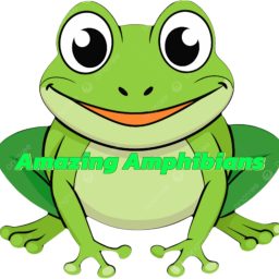 Artwork for Amazing Amphibians