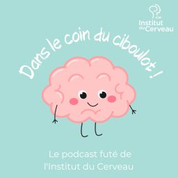 Artwork for Dans le coin du ciboulot !